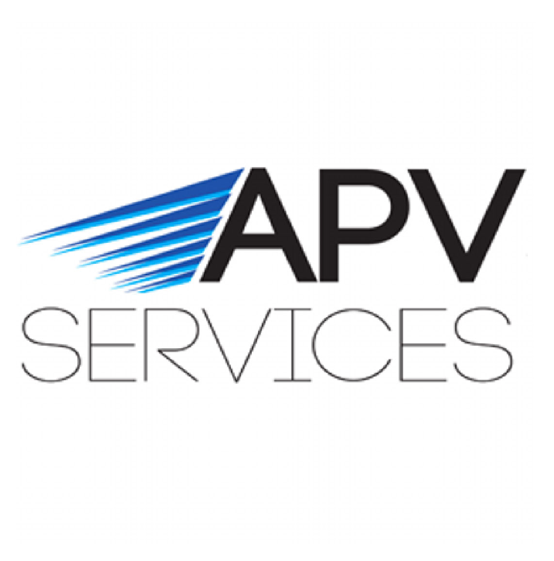 Apv Services Logo